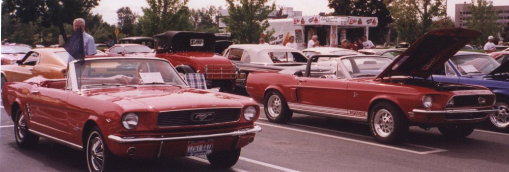 Here is a picture of our'66 Mustang next to a Shelby that is a combination